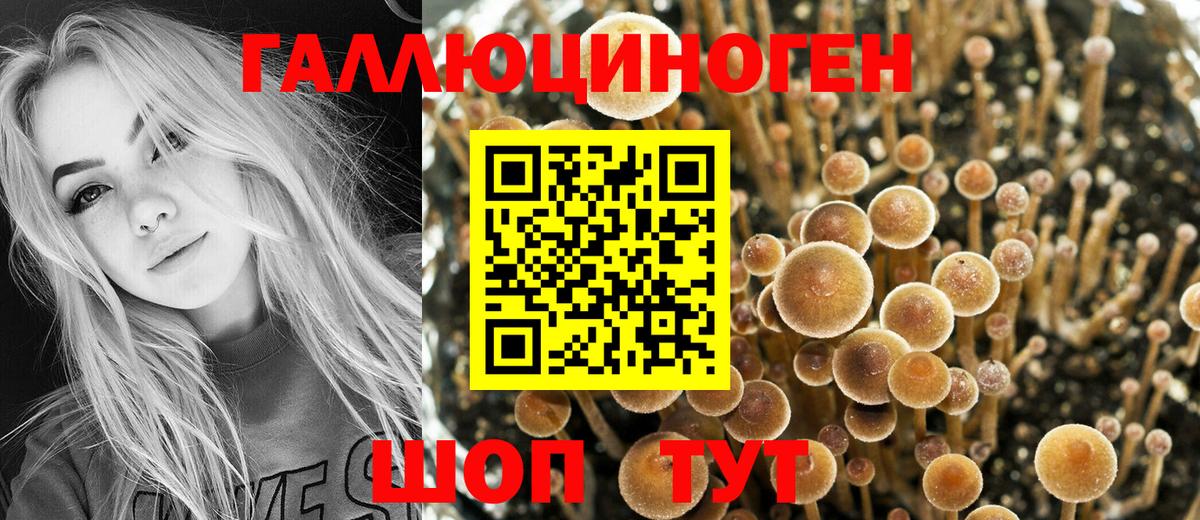 Псилоцибиновые грибы MAGIC MUSHROOMS  Вход с VPN  Нефтекамск 